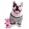 Biting dog toys, pet supplies, pet dog toys, pet toys, high-quality, wear-resistant and durable bottle body, baby series details Picture